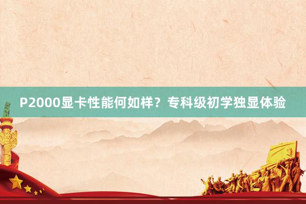 P2000显卡性能何如样？专科级初学独显体验