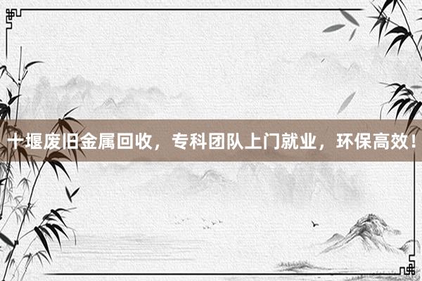 十堰废旧金属回收，专科团队上门就业，环保高效！